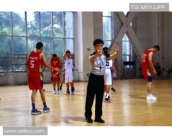 篮球明星杨晨的传奇人生与职业生涯回顾及对中国篮球的深远影响