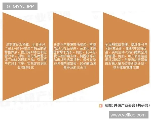 衢州健身器材市场分析与发展趋势探讨助力健康生活新方式